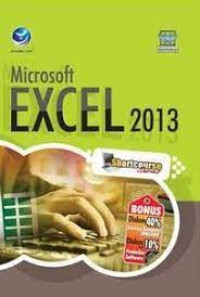 MICROSOFT EXCEL 2013